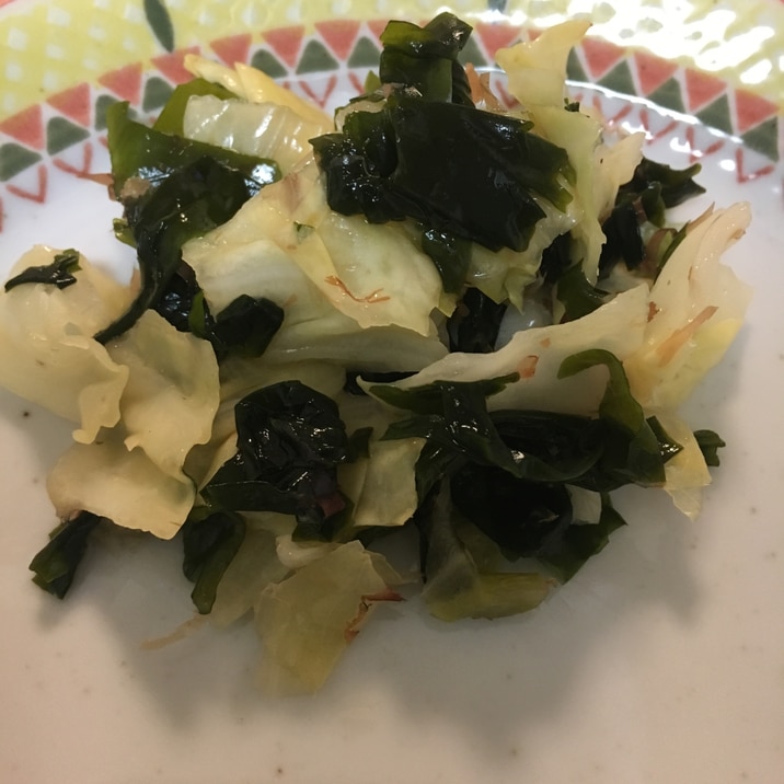 常備菜 キャベツとわかめの和え物 レシピ 作り方 By 3q 楽天レシピ 常備菜 キャベツとわかめの和え物 レシピ 作り方 By 3q 楽天レシピ